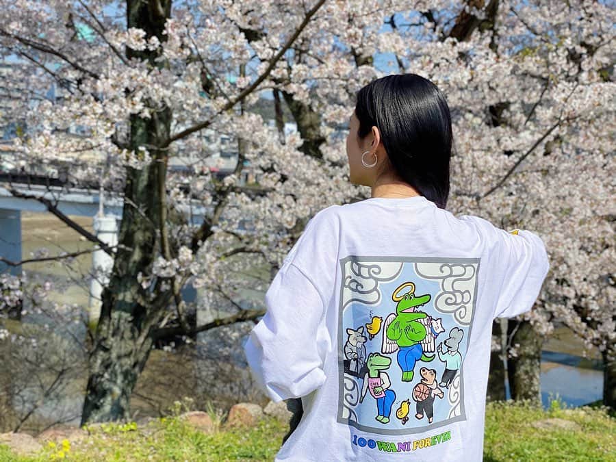 Karunaさんのインスタグラム写真 - (KarunaInstagram)「ㅤㅤㅤ 桜見られないかもと思っていたから 麦の散歩がてら見られて嬉しい🌸 お花見スルーってやつですね🐊🐇 #100日後に死ぬワニ#FR2#お花見」4月6日 23時19分 - karuna0520