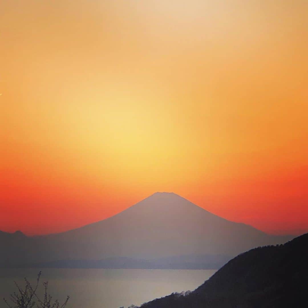 岩堀せりさんのインスタグラム写真 - (岩堀せりInstagram)「絵みたいな富士山🗻」4月6日 23時21分 - iwahoriseri