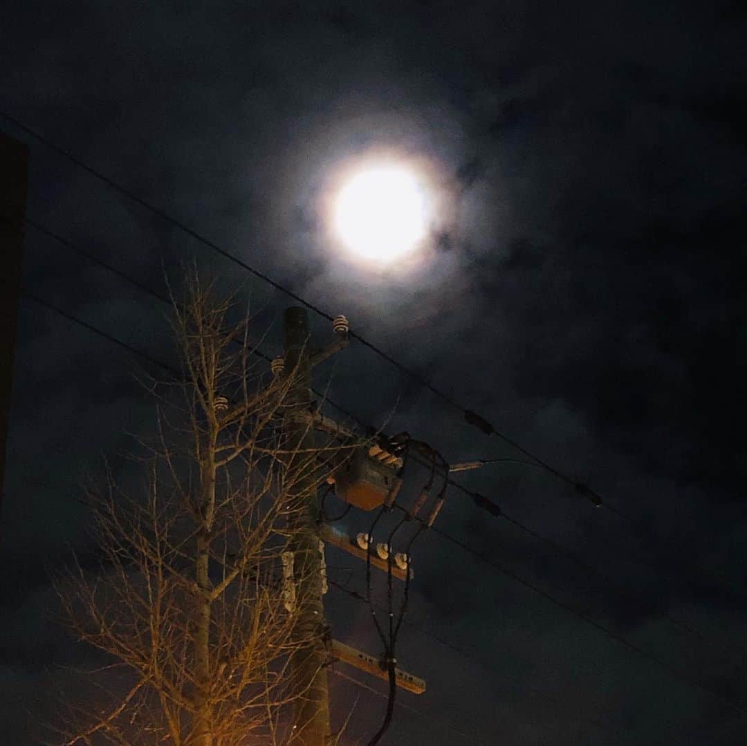 八木隆太郎さんのインスタグラム写真 - (八木隆太郎Instagram)「‪帰り道  お天気の菅井さんが空の‬ ‪写真を撮っていたので何だろう？ と、夜空を見上げたら、  明るい月の周りに うっすら光の環がかかる 『月のハロ』が現れました🌝 ‬ ‪太陽ではよくあるけれど、 月は珍しいそうで、‬ ‪これも天気下り坂の証だそう。‬ ‪でも綺麗でした✨  UHBの周りは札幌中央区の北1条沿いという交通量の多い場所にあるのですが、比較的緑が多く、 まわりに高い建物が少ないので、 空の変化に気づきやすいのです。  この会社で1年の3分の2を過ごしていると、 思わず『わ〜🥺』て 思う空の風景にたま〜に出会えるのが嬉しいところ。  いまはコロナで、暗い話も多く、僕自身も色々なことで、目の前しか見られない日が続いていますが😩  たまには空見たりするのもいいものです。 ‪まだ寒い北海道、みなさんも体調崩さないよう、 お体大切に。‬ #夜空 #月 #月のハロ」4月7日 0時56分 - ryutaroyagi0414