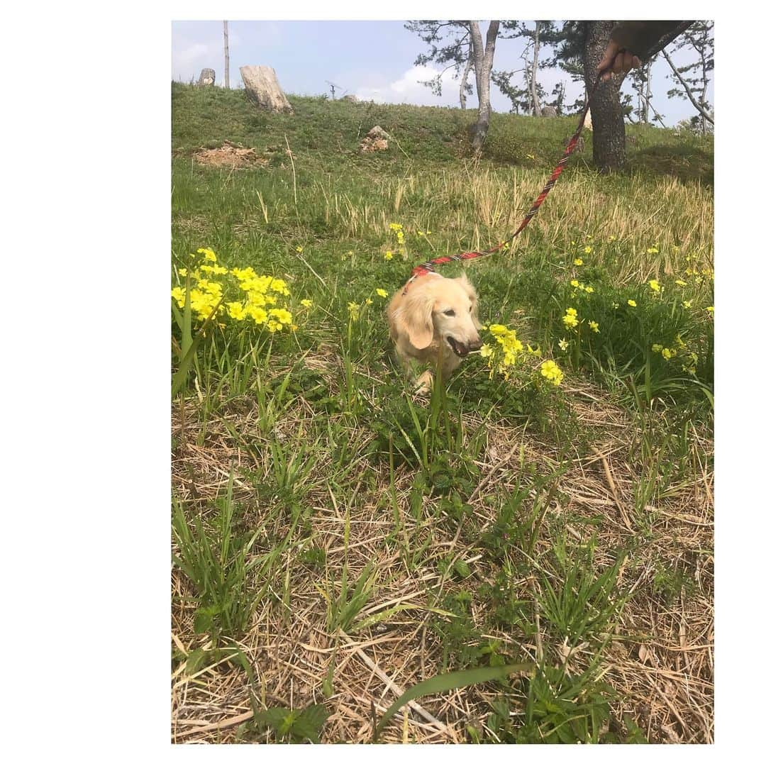 大石参月のインスタグラム