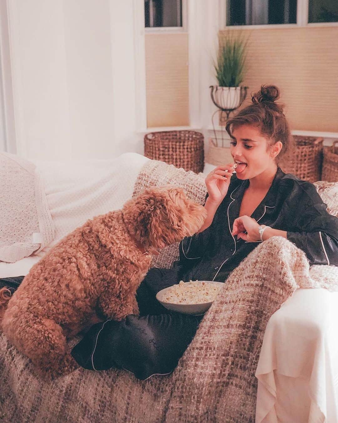 ヴィクトリアズ・シークレットさんのインスタグラム写真 - (ヴィクトリアズ・シークレットInstagram)「Current mood: in puppy love, featuring @taylor_hill and her main squeeze, @tatetheminidoodle. Can we get a moment to appreciate the furry friends in our lives?」4月7日 1時54分 - victoriassecret