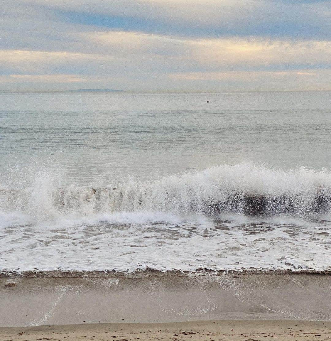 ダニエル・パナベイカーさんのインスタグラム写真 - (ダニエル・パナベイカーInstagram)「Dreaming of being back outside, but proud to be #shelteringinplace . Thinking of all of you and your health and safety during this trying time. #StayHome」4月7日 3時42分 - dpanabaker