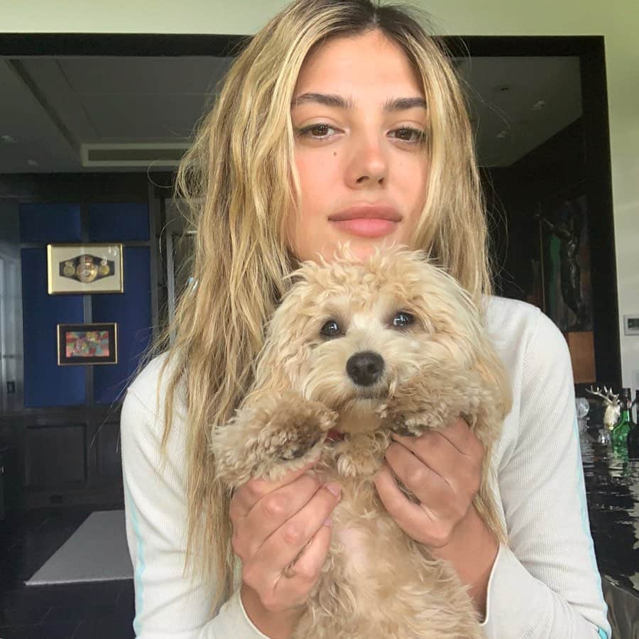 システィーン・スタローンのインスタグラム：「Quarantine activity: match hair with your dog」