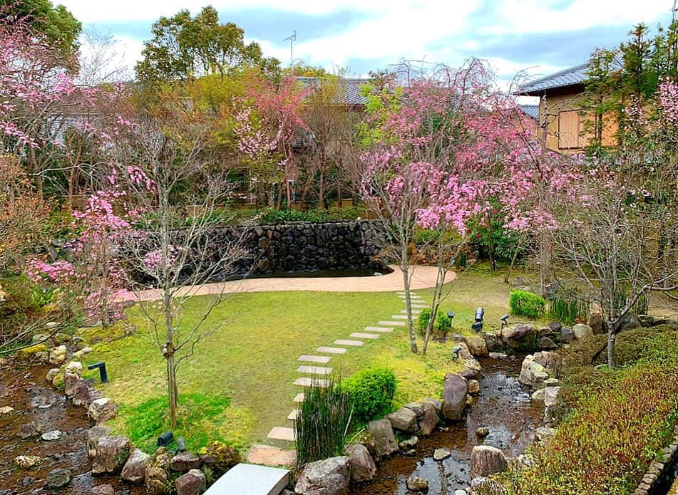 百合華さんのインスタグラム写真 - (百合華Instagram)「京都南禅寺にある『桜鶴苑』にてお花見ランチタイム🍽💕 ﻿ ﻿ 大きな窓の向こうには風に舞う桜の花びら🌸🌸🌸 ﻿ ﻿ 今回は、お洒落なお花見弁当みたいでとっても可愛らしい桜ランチコースをいただきました🍱💕 ﻿ ﻿ 大好物な蛍イカちゃんが煮凝りに閉じ込められててビックリ😳💦 ﻿ ﻿ まだ桜の木が小さくて圧巻の景色とは言い難い感じでしたが、大好きなビビットピンクの桜と手入れの行き届いたお庭を眺めながらゆったりと流れるひとときを過ごす事が出来ました❤️ ﻿ ﻿ #japan﻿ #日本﻿ #kyoto ﻿ #京都﻿ #蹴上﻿ #南禅寺﻿ #桜鶴苑﻿ #ランチタイム﻿ #お花見ランチ﻿ #お花見弁当﻿ #お花見﻿ #桜ランチ﻿ #ランチコース﻿ #cherryblossom ﻿ #煮凝り﻿ #ちらし寿司﻿ #桜ゼリー﻿ #ゆったり ﻿ #まったり﻿」4月7日 16時39分 - yurika.lovelily