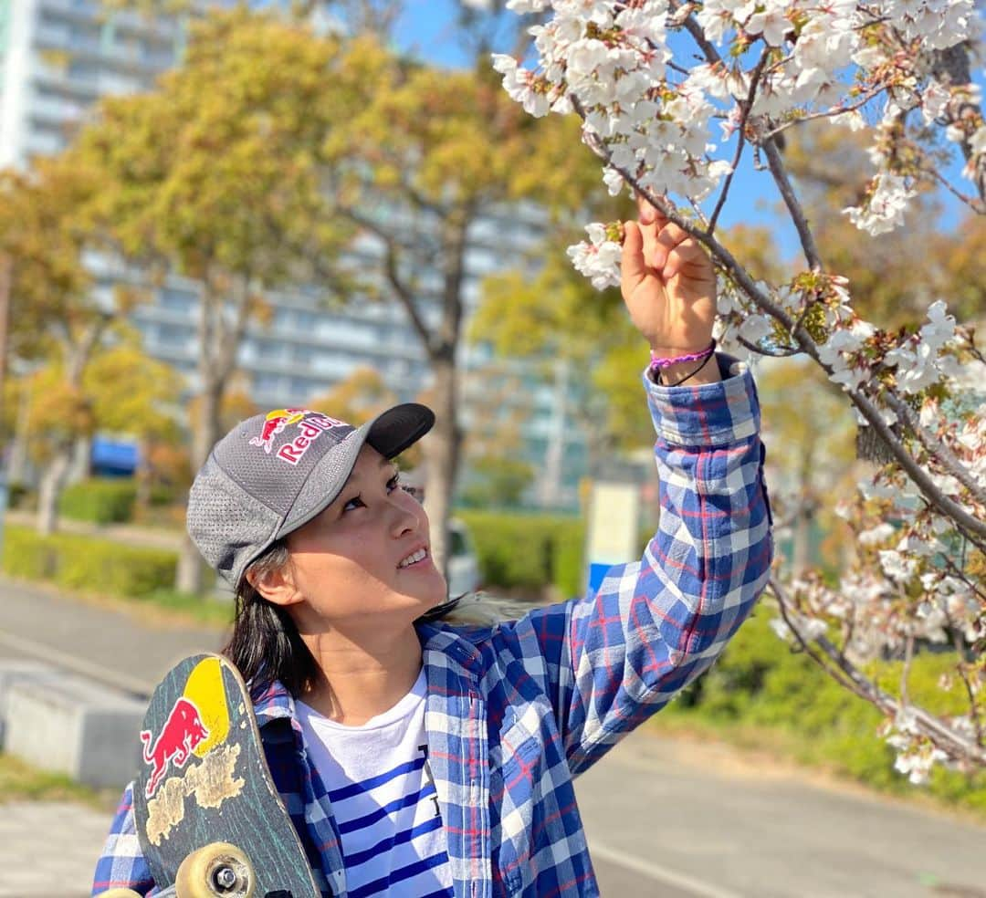 四十住さくらさんのインスタグラム写真 - (四十住さくらInstagram)「桜🌸&sakura❣️ . @poloralphlauren  @redbulljapan @redbullskate @redbull @vansskate @vans #bennu @five_cross_skatepark  @goueda13mind #13mind @powellperalta  @oomiya_eyewear @oomiya_wakayama @bonesbearings @willysantos  @boneswheels @independenttrucks  @187killerpads @mobgrip @protec  @stance_japan」4月7日 15時27分 - sakura_yosozumi