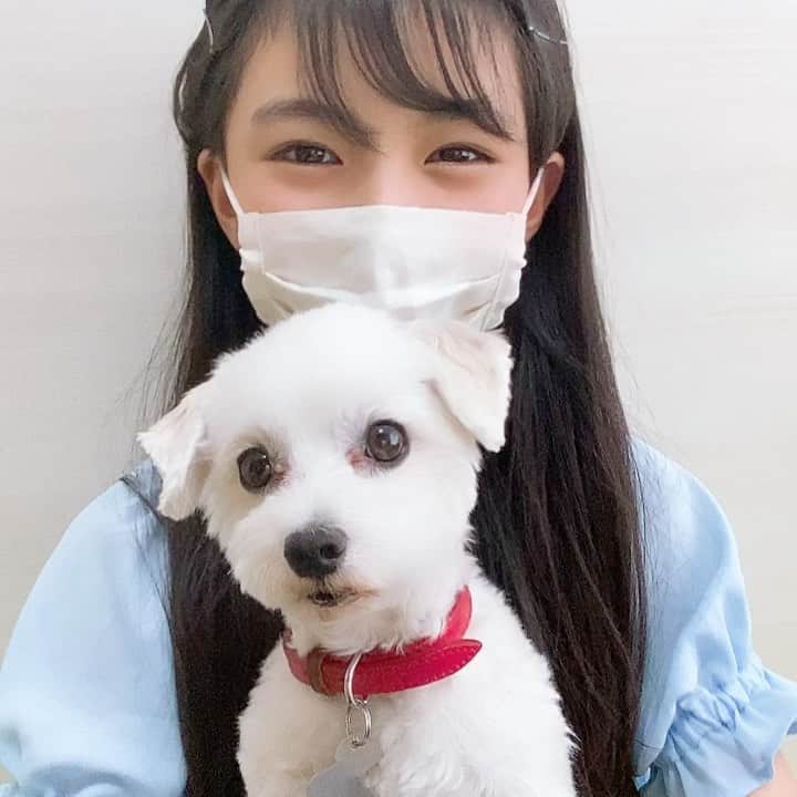 のインスタグラム：「さきっぺから手作りマスクが届いたよ😷 可愛くて嬉しかった💕ありがとう💕  みんなコロナで大変だと思うけど、力合わせて頑張って乗り切ろうね😢 早くみんなに会える平和な日が戻りますように🙏  #マスク#コロナ対策#ボンクラさき#手作りマスクって#神対応#器用女子バンザイ#なおは不器用です#ありがたい#可愛い柄#自宅でこもってます#早く終息してほしい」