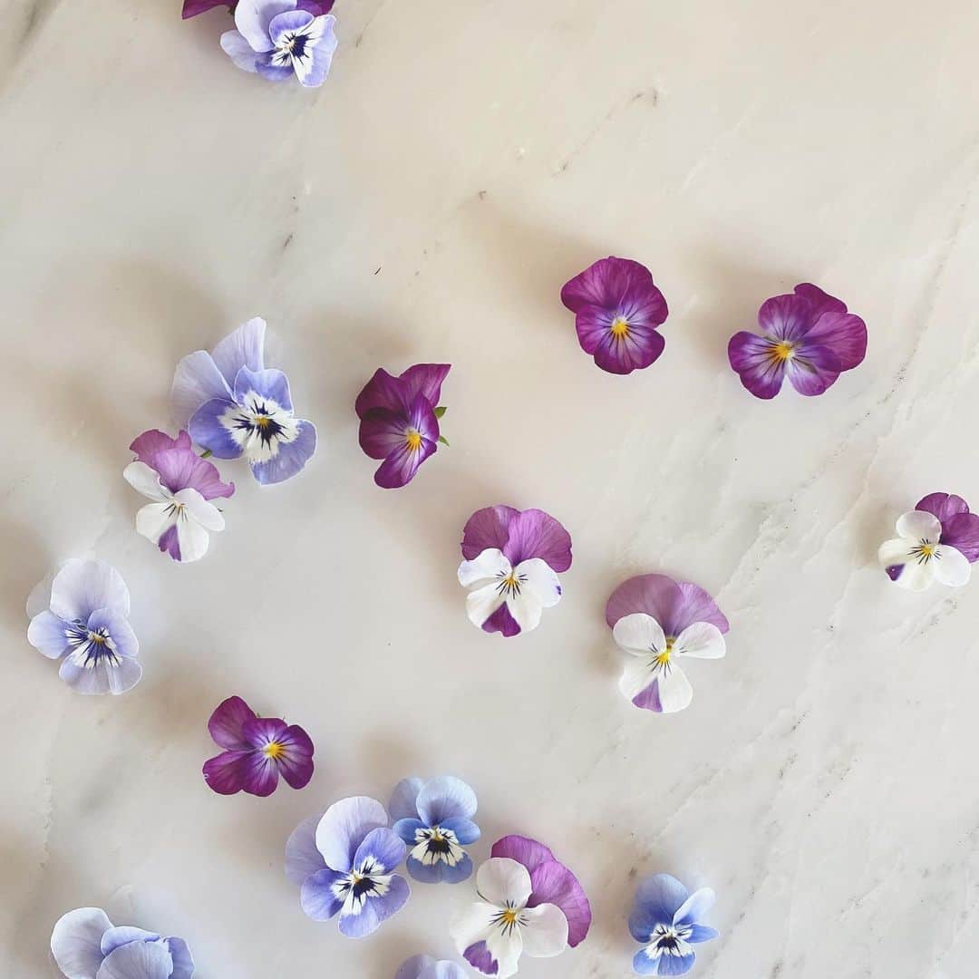 ローレン・コンラッドのインスタグラム：「If you’re doing your part by distancing (and staying home if that’s an option for you) but are looking for more ways to help, we have some suggestions. See them on laurenconrad.com or in my stories.」