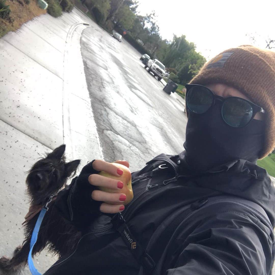 カイル・ガルナーのインスタグラム：「Walking the dog or robbing a bank? Gotta alternate between Apple eating and protective face masking...」
