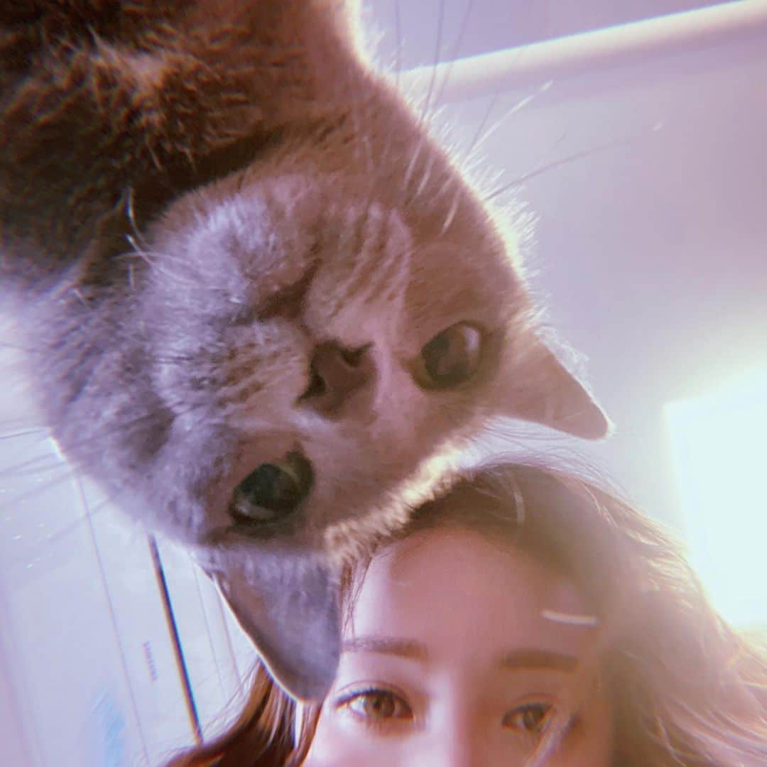 ポニーのインスタグラム：「정신이 좀 드니」