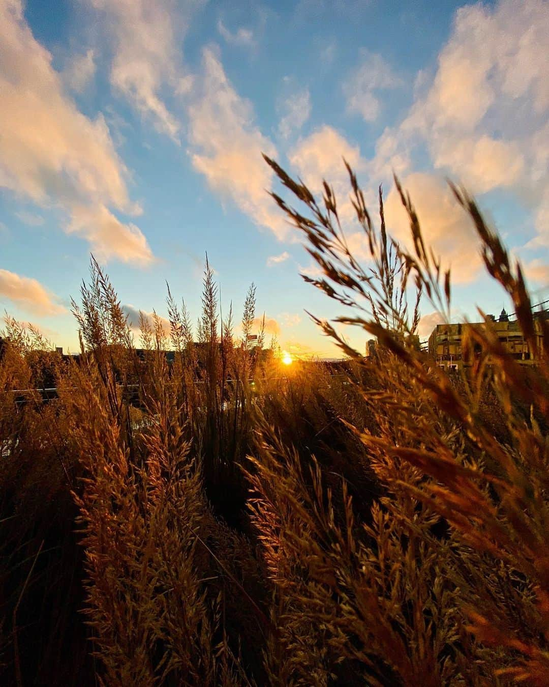 Cubby Grahamさんのインスタグラム写真 - (Cubby GrahamInstagram)「Finding it helpful to remind myself that even the bad days have an ending, and the best days have a beginning 🌇」4月7日 8時41分 - cubbygraham