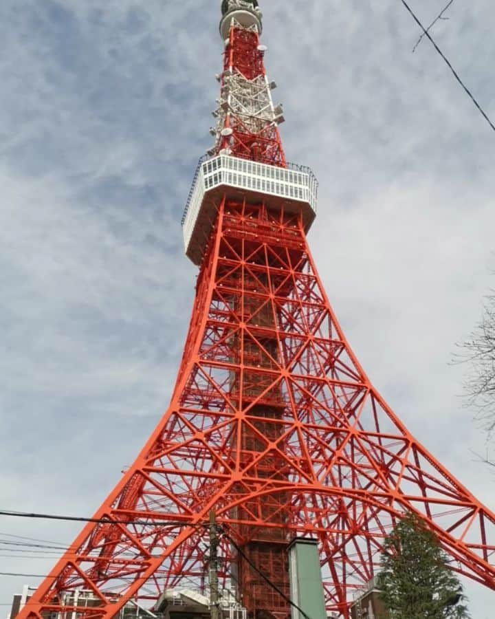 野川さくらのインスタグラム：「2020.4 #東京タワー #この前東京タワーのそばのスタジオでお仕事してきました♪ #動画を撮ったよ☆ #みんなと一緒に楽しくお出掛けできる日がまたやって来るといいな。。。 #早くみんなと会いたいです。。。 #ファンクラブ #声優 #さくらClub #にゃんスタグラム #野川さくら #さくにゃん #野川さくらのチョコレートたいむ #野川さくらのチョコレートたいむ第37回目」