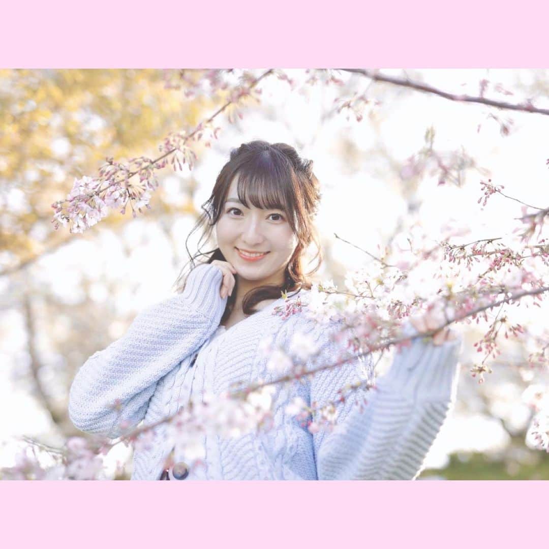 牧村一穂のインスタグラム：「みんな元気ですか？引きこもり生活〜😞🌸いつもとメイクも髪も違う！どうですか〜 . #ミスコン#被写体になります#撮影モデル#サロンモデル#撮影#サロンモデル募集#女子大生#看護学生#likeforlikes#instagood#桜#春#春休み#ヘアアレンジ#春メイク」