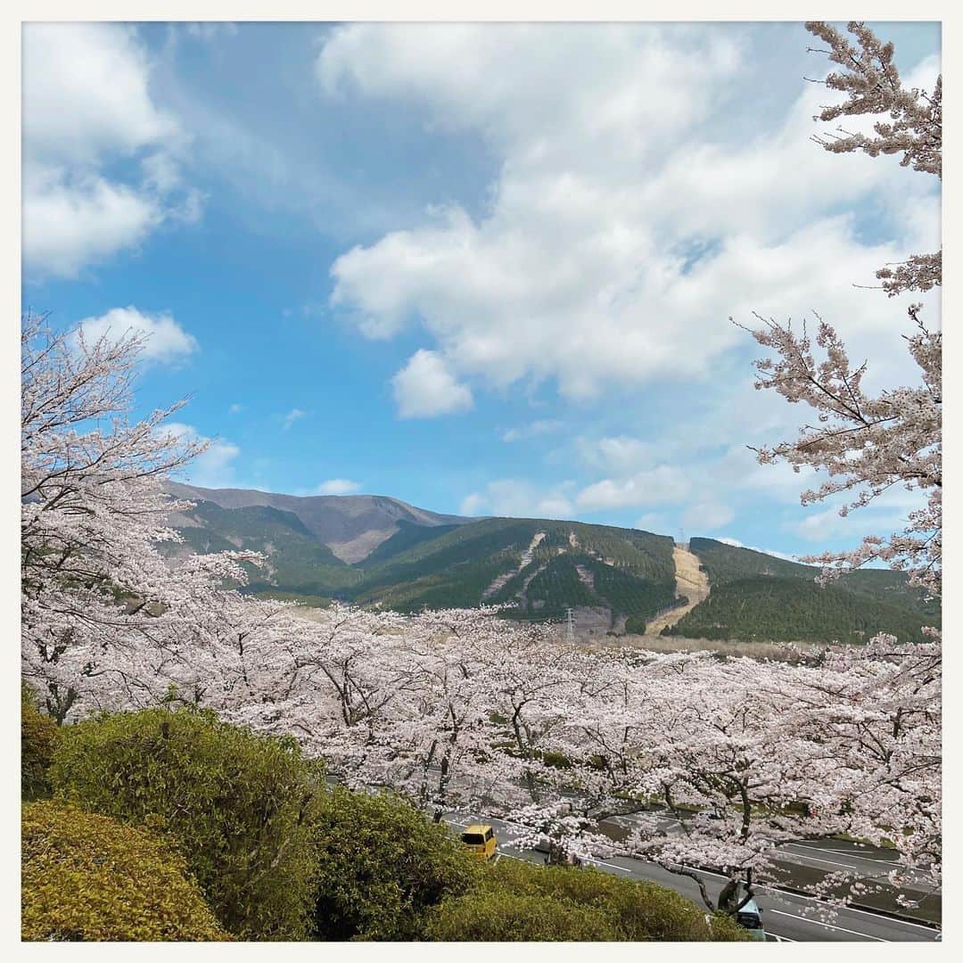 kumikoさんのインスタグラム写真 - (kumikoInstagram)「恒例の春のお墓参りへ。 何年も来ていて初めて満開の桜に当たったかも。。。 張り詰めていた気持ちが少しほぐれた☺️」4月7日 11時05分 - makudeco