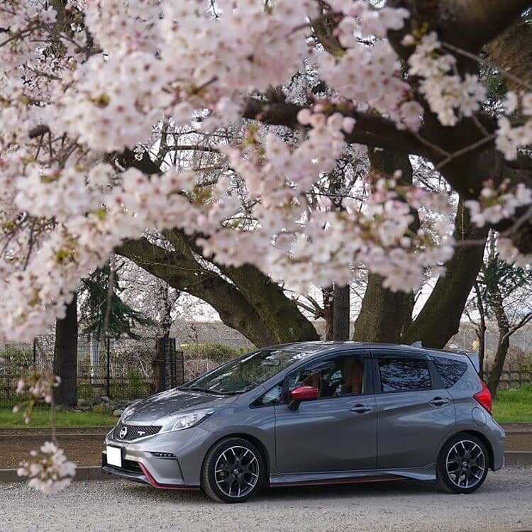 日産自動車さんのインスタグラム写真 - (日産自動車Instagram)「Photo by @jubisuka2000 ﻿ #日産ノート #NISMO #🌸 #桜 #お花見  #日産 #nissan #ニッサン #nissanjapan #🚗 #5523  #5523🌸 をつけた素敵な投稿をリポストでご紹介します♪﻿ SNSでお花見をしませんか？」4月7日 16時49分 - nissanjapan