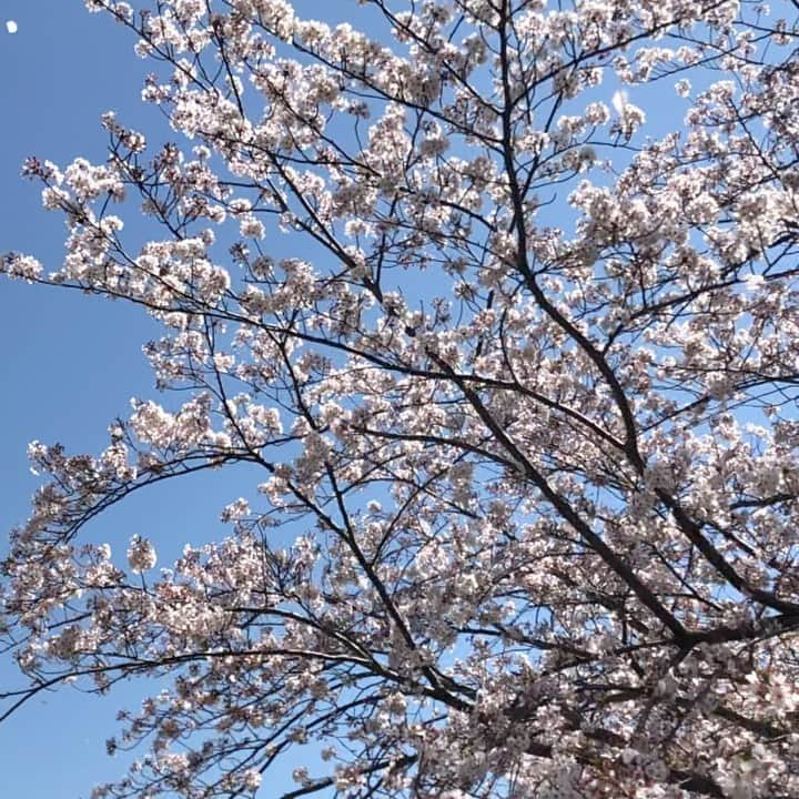 福岡女子短期大学のインスタグラム