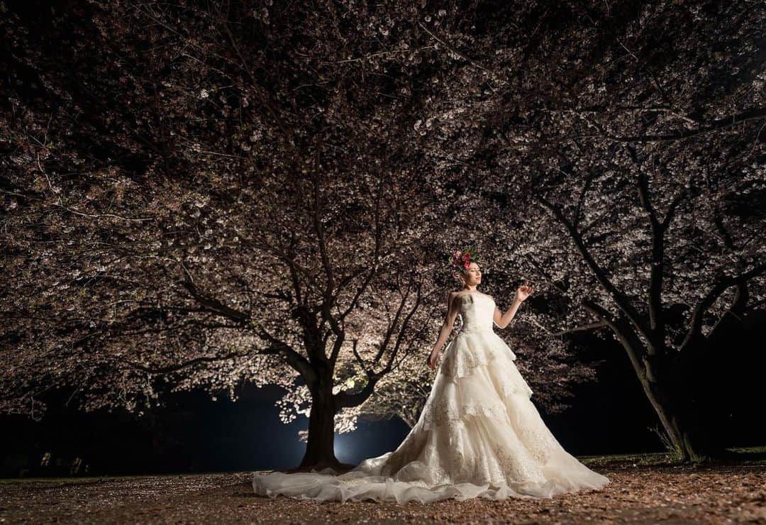 イルコ光の魔術師のインスタグラム：「今日もアップでーす❗️夜桜でポートレート、といっても、真っ暗な環境で全部ライティングでやってます❗️Sigma 14mmの　f/1.8で撮影、当然フル開放です❗️右からSpekular LED 後ろの木の後ろにストロボ1灯使用❗️. . モデル: Mari . . 新しい @ilkomobile アカウントにiPhoneで撮ってるポートレートもアップしますよ！いい光があればカメラ&レンズはなんでもいいと思います . . #ストロビスト #ポートレート #夜桜 #14mm #Sigma #instagramjapan #青森 #東京カメラ部 #ig_today #igersjp #tokyocameraclub #instalike #instagramhub #team_jp_ #vscogoodshot #strobist #strobistlighting #portrait_perfection #iphonephotography #イルコ #光の魔術師 #桜 #instagramhub #カメラ女子 #iphoneography  #lovers_nippon #ファインダー越しの私の世界 #写真好きな人と繋がりたい #portrait」