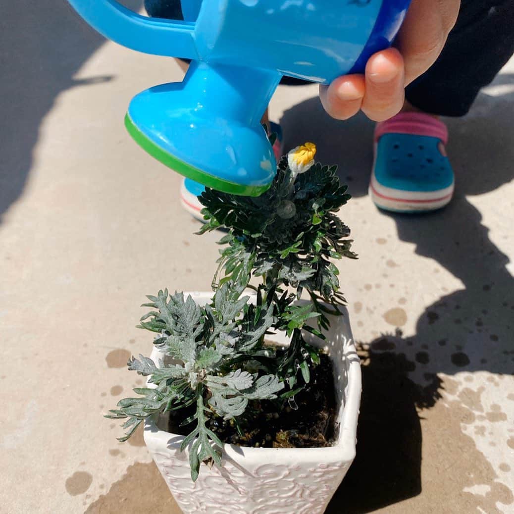 永田拓也さんのインスタグラム写真 - (永田拓也Instagram)「. 植物を育ててるのは小学生以来な気がします。 息子と水やりが日課となってます☀️ 成長が楽しみだ〜！！ #お花 #日課 #水やり #stayhome  #ギラヴァンツ北九州 #32 #九州っていいところですね」4月7日 12時24分 - takuya__nagata