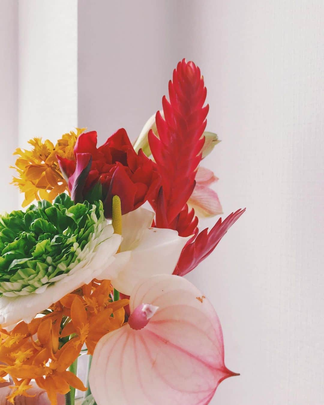 大辻隆弘さんのインスタグラム写真 - (大辻隆弘Instagram)「今朝玄関チャイムが鳴りドアを開けてみると友達のチームlogiから突然お花の贈り物が❗️不安な日々だけど粋な花の贈り物に一気に我が家が和らぎました。ありがとね。#ステキなプロジェクト #サプライズ @logiplantsandflowers」4月7日 12時35分 - photsuji