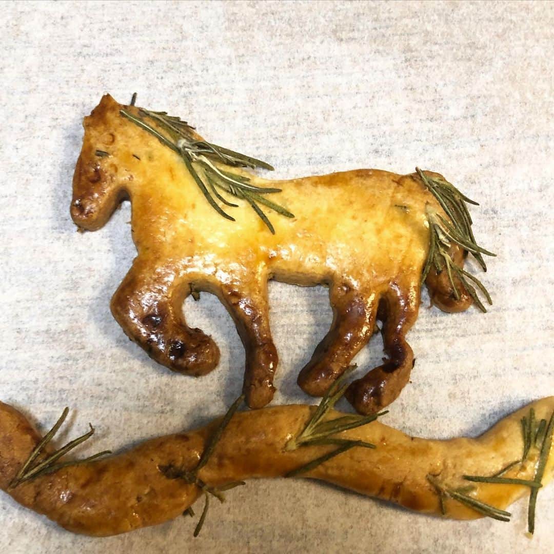Baekのインスタグラム：「最近ずっと園芸やっていたから ハーブでお菓子作り🌿 これはレモンとローズマリーのクッキー レモンの木も欲しいなー！でもレモンができるまでは時間かかるんだろうなー！🤔ほんのり甘くてレモンとローズマリーの香りがして美味しかったです。  母が好きだったTasha tudorの本をよんだりして庭づくりに興味津々な最近。 彼女は何十年もかけて庭を作ったり絵本を書いたりジャム作りや料理作りをしたり。まだ全然少ないけど最近は植物を集めたり調べるのが好き！ よくみると葉の形も全部違うし小さいけどきれいな色や形をしている花もかわいい。  #この前教えていただいたアボカド、水あげたら芽が出ようとしてます！」