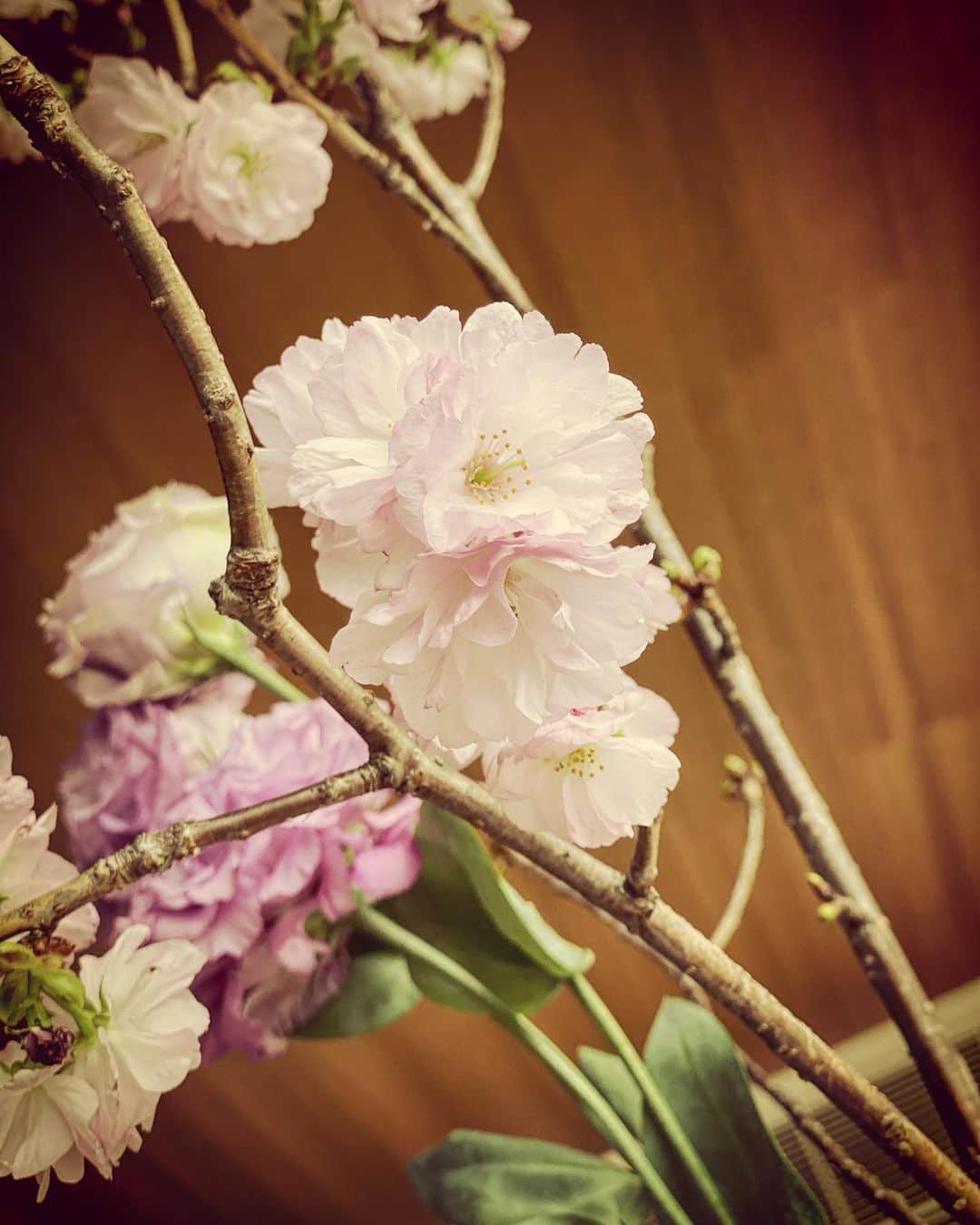 金子ノブアキさんのインスタグラム写真 - (金子ノブアキInstagram)「我が家でお花見。 どんどん咲いてくる！ 綺麗だなぁ。  #おうち時間  #stayhome #金子ノブアキ #nobuakikaneko」4月7日 13時32分 - nobuakikaneko_official
