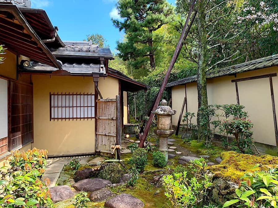 百合華さんのインスタグラム写真 - (百合華Instagram)「京都南禅寺にある『桜鶴苑』にて優美な日本庭園をお散歩タイム🥰﻿ ﻿ お天気に恵まれてとっても晴れてるお空の下で、手入れの行き届いた庭園と大邸宅をゆっくりお散歩出来て心地良き❤️ ﻿ ﻿ 小さな滝のせせらぎを聴きながら可愛らしい茶室にキュンキュンしたり、飛び石を渡ってみたり、切り株から伸びる新芽に癒されたりと非日常感を満喫する事ができました🌱💕🌱💕🌱 ﻿ ﻿ #japan﻿ #日本﻿ #kyoto ﻿ #京都﻿ #南禅寺﻿ #蹴上﻿ #桜鶴苑﻿ #日本庭園﻿ #大正ロマン ﻿ #大正邸宅﻿ #優美﻿ #茶室﻿ #飛び石﻿ #せせらぎ﻿ #新芽﻿ #癒し﻿ #お散歩﻿ #散歩﻿ #非日常﻿ #満喫﻿」4月7日 13時47分 - yurika.lovelily