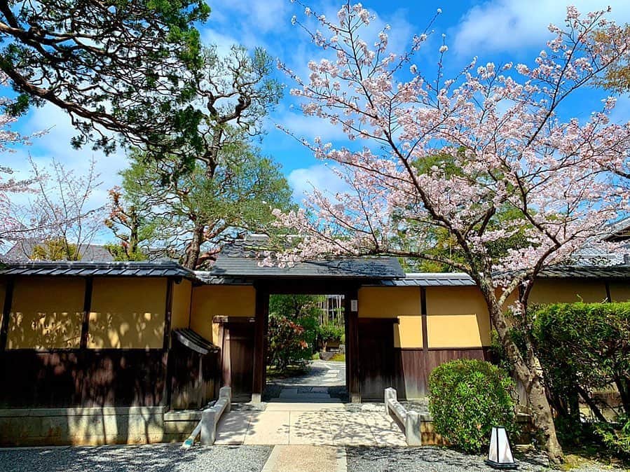 百合華のグルメインスタ