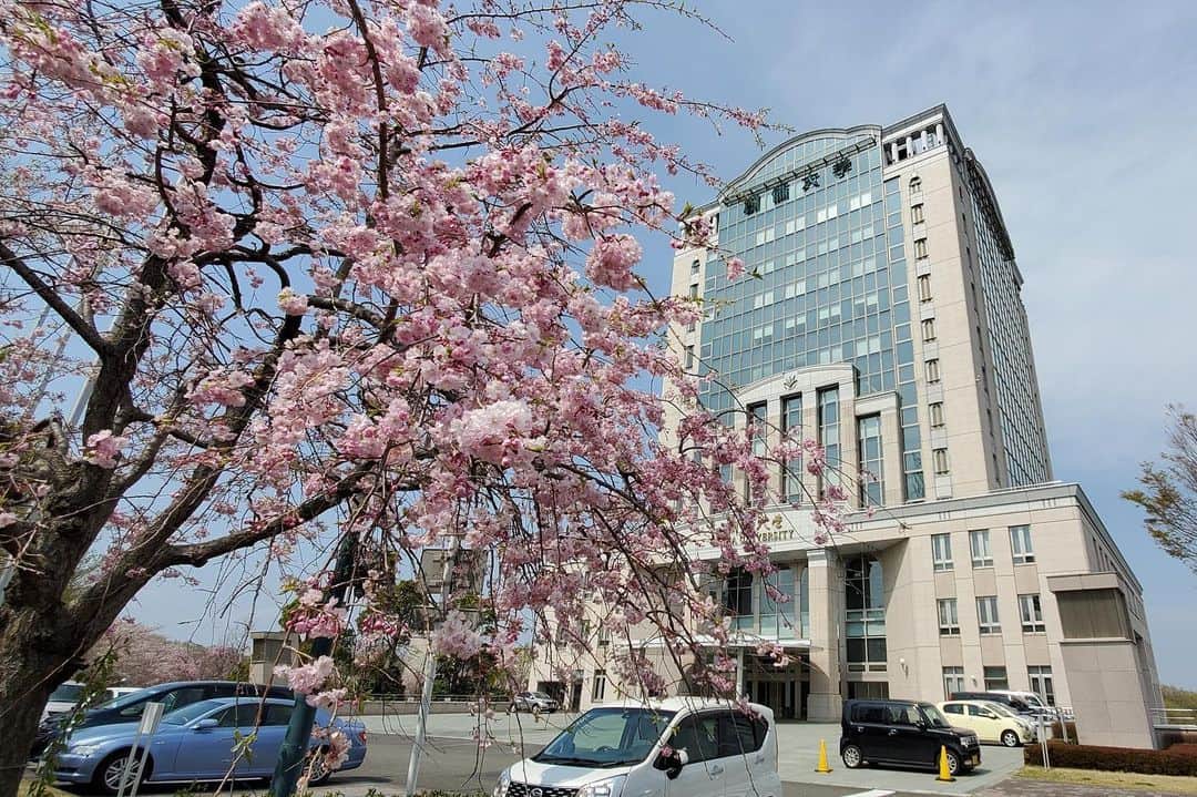 のインスタグラム：「Campus Seasonal Photos April ❶ 丹木の歳時記　卯月❶ ⑴ Central Tower・本部棟 ⑵ A Tower・文系Ａ棟 ⑶ Edgeworthia chrysantha・三叉(ミツマタ) ⑷ Chinese redbud・花蘇芳(ハナズオウ) ⑸ Weeping cherry blossom・枝垂れ桜(シダレザクラ) ⑹ Pond of literature・文学の池 ⑺ Lilac・ライラック ⑻ Weeping cherry blossom・枝垂れ桜 ⑼ Magnolia・モクレン ⑽ Chinese quince・花梨(カリン) #discoversoka #sodaigram #sokauniversity #hachioji #tokyo #japan #campus #university #students #environment #nature #flowers #fourseasons #april #spring #beautiful #創価大学 #八王子 #東京 #大学 #キャンパス #環境 #自然 #花 #四季 #4月 #卯月 #春」