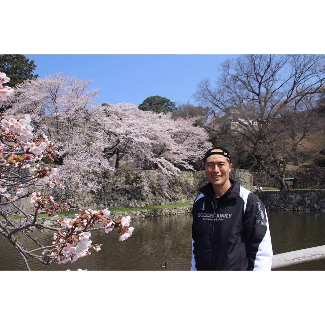 北野貴之さんのインスタグラム写真 - (北野貴之Instagram)「桜！ 桜からパワーもらいました。 桜を見ると、毎年思う人生論。 満開の桜はあと何回見れるのだろう。 そう考えると、人生は少ないと。  #彦根城」4月8日 1時04分 - takashi_kitano