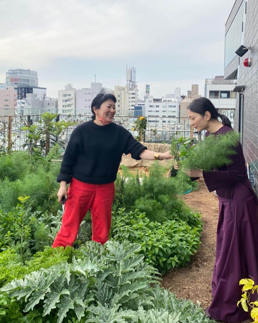 行方 久子 Hisako Namekataさんのインスタグラム写真 - (行方 久子 Hisako NamekataInstagram)「. 野村友里さんの @eatripsoil へ調味料と食材の調達に。  ラッキーなことに友里さんがいらっしゃって お久しぶりにお会いできた！ ハーブ🌿いただいてきちゃいました。ありがとうございます😊  ここは都会のオアシス🤍」4月7日 16時52分 - hisakonamekata