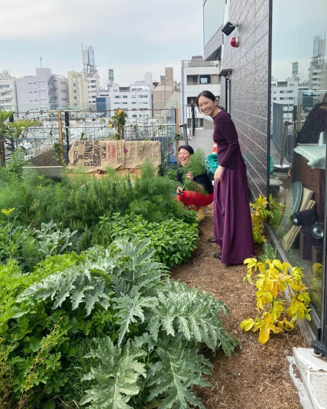 行方 久子 Hisako Namekataのグルメインスタ