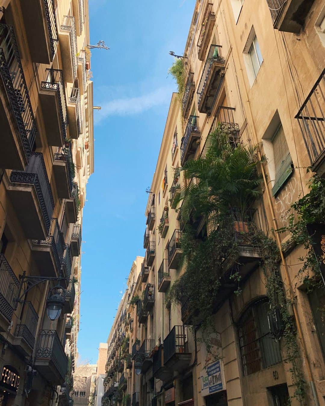 グリコリー・スミルノフのインスタグラム：「Наконец-то появилось время разобрать старые фотографии.  Прекрасная Барселона- город, в который хочется вернуться.」