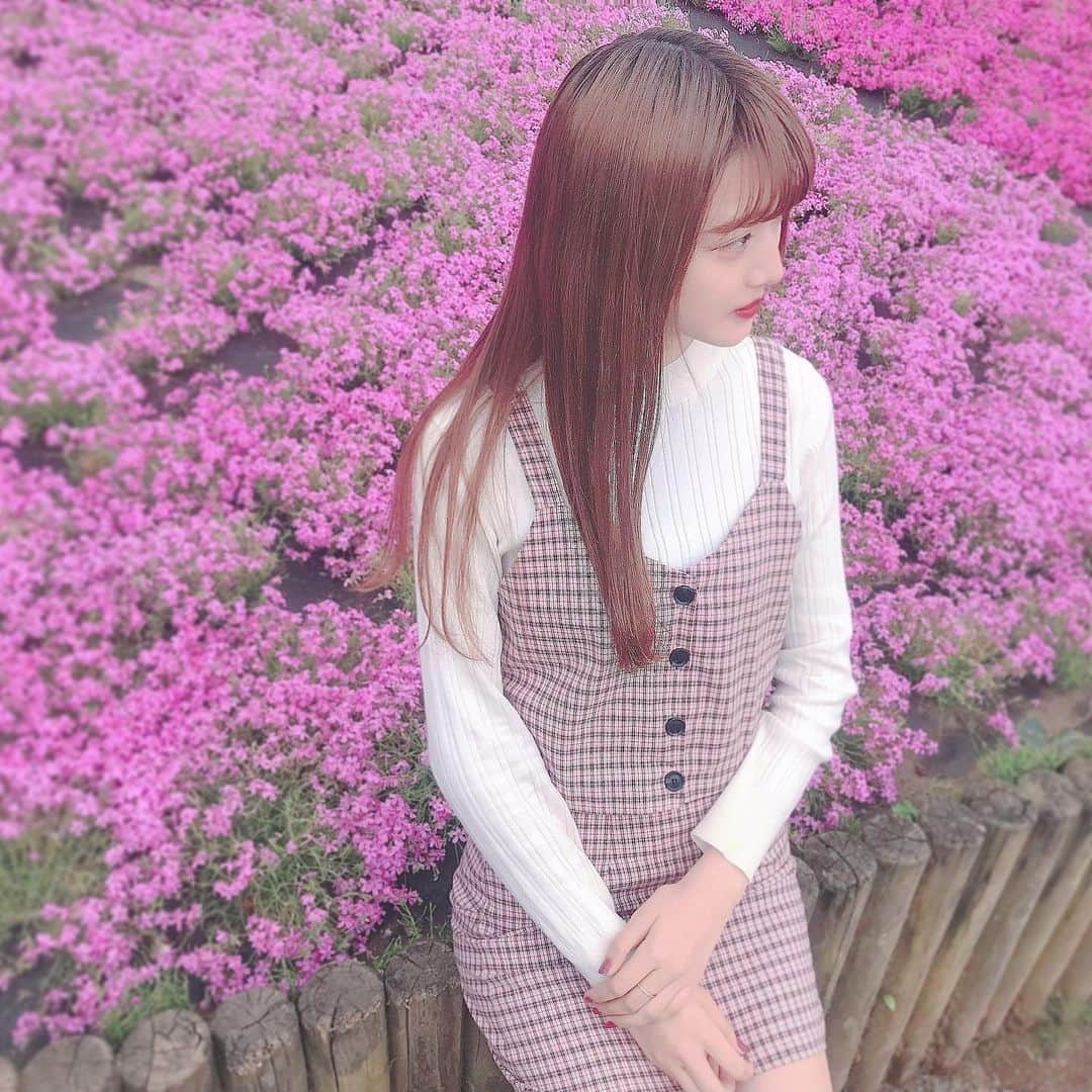 桃さんのインスタグラム写真 - (桃Instagram)「🌸🤍🤍 #芝桜 #芝桜の丘」4月7日 17時21分 - momo.1121_