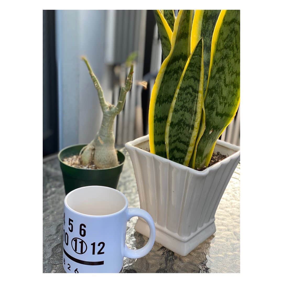 猪野広樹さんのインスタグラム写真 - (猪野広樹Instagram)「ベランダでホッと。  しっかりと自身のマグカップを添えて。笑  Chill...」4月7日 17時35分 - hiroki_ino