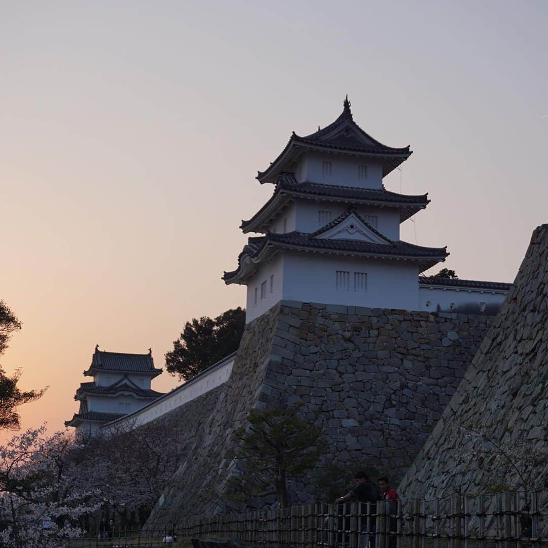 凰津りささんのインスタグラム写真 - (凰津りさInstagram)「一年前、姫路城🏯 行ってたなぁ。 . . 今年も姫路城と明石城に桜を見に行こう🌸って計画立てたのに残念無念💦 . 今年は城巡りは出来ないだろうな。 いや‼️まて‼️ 人気が無い山城なら行けるのではないか⁉️⁉️ . 前に行った荒砥城は遭難しかけたくらい誰とも会わなくて登山ロードだったぞ⛰ . うん、、、 山城巡りに今年は予定変更だな‼️」4月7日 17時50分 - outsu.risa95