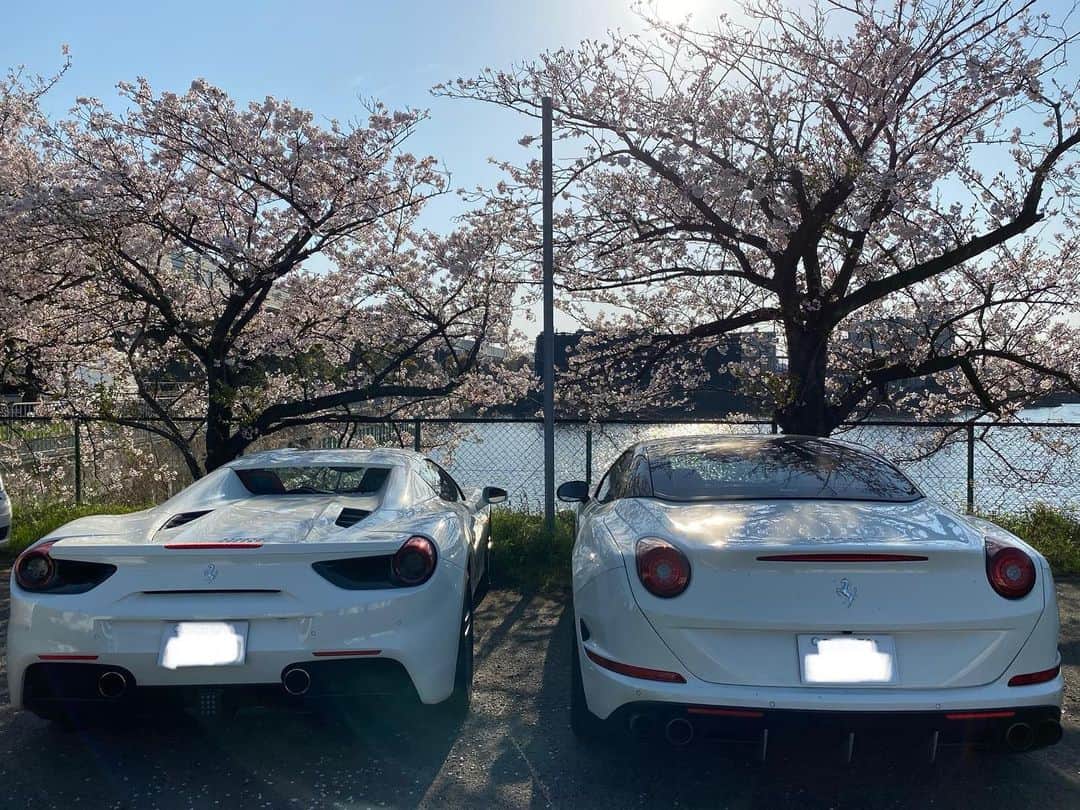 のインスタグラム：「メガキングドットコムの中本です🤗 オートファクトリー仁 堺市店さんへ🚚✨ 今回も🚚パンパン👍 いつも元気すぎる^_^ 北川店長有難う御座います🙇‼️ またトラック🚚パンパン✨ よろしくお願いします😁👍 北川店長お時間頂き有難う御座いました‼️ また宜しくお願い致します🙇‼️ #オートファクトリー仁堺店  #オートファクトリー仁 #autofactoryjin  #supercar #オートファクトリー仁麻布  #オートファクトリー仁南船場店  #megaking  #kig  #autoparts  #メガキング  #メガキングドットコム  #中古パーツ #中古パーツ買取り  #出張買取り #大阪 #箕面 #九州 #西日本 #パーツの王様 #メガゴリくん #ROHAN #ROHANnet #桜」
