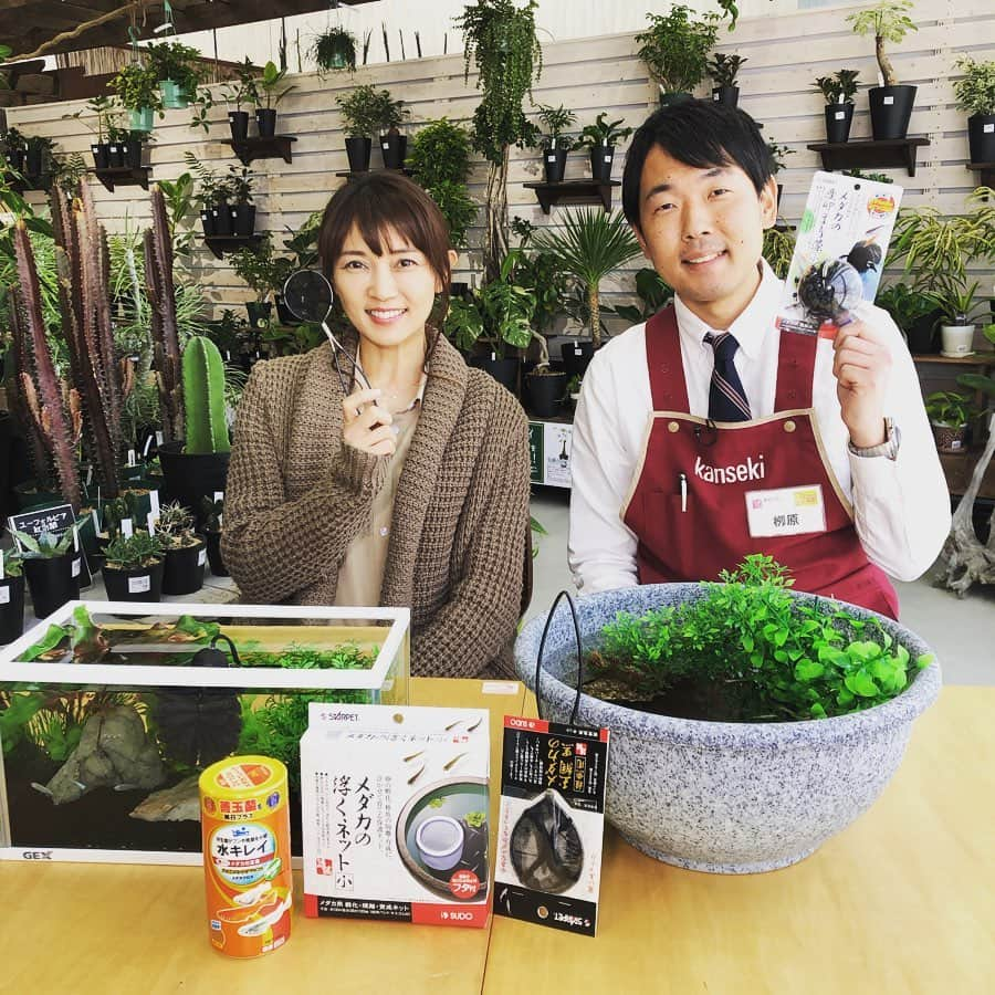 小池祥絵さんのインスタグラム写真 - (小池祥絵Instagram)「ただ今よりとちぎテレビ生放送。 4月からも｢ペットとイキイキ生活｣は続きますよ〜✨ 柳原さんと張り切ってお伝えしますので、皆様よろしくお願いします😊 #とちぎテレビ #イブ6プラス #ペットとイキイキ生活 #今回は #メダカの繁殖 #春はメダカは恋の季節 #🐟❤️🐟」4月7日 17時50分 - koikesachiesan