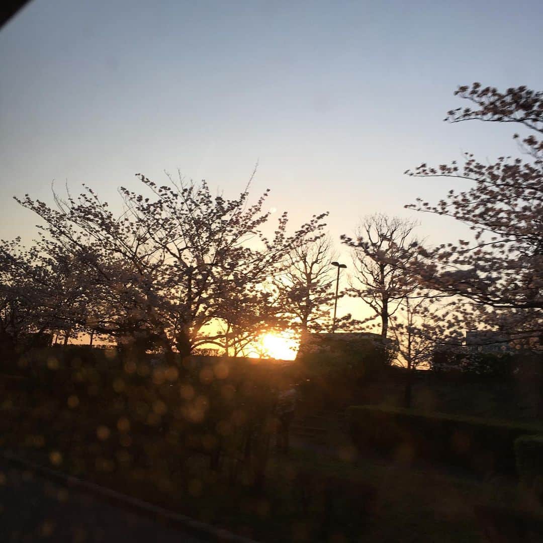 Nao☆ さんのインスタグラム写真 - (Nao☆ Instagram)「車の中から桜🚗🌸 サウンドスプラッシュ聞いてね😊✨」4月7日 17時48分 - nao_ngc