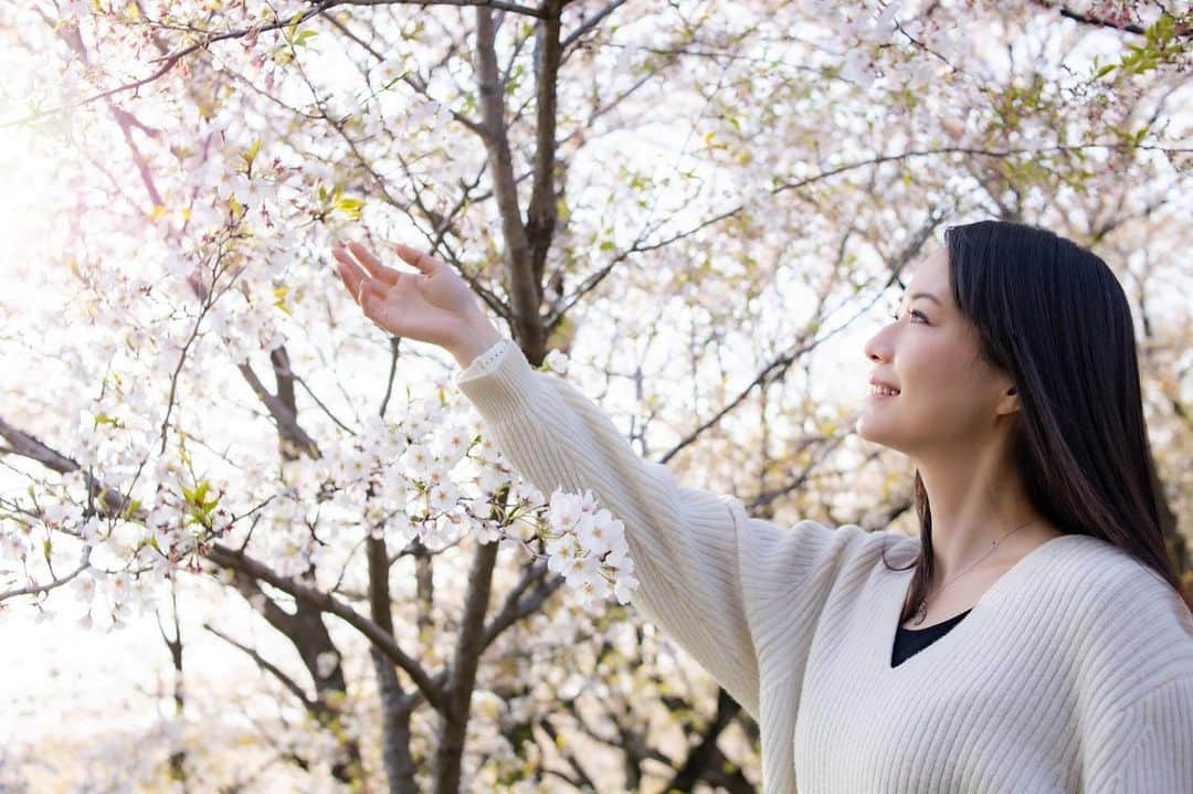 吉山りささんのインスタグラム写真 - (吉山りさInstagram)「☺️桜写真でお花見してね🌸 ✨ ✨ 🌸 ✨ ✨  #吉山りさ  #フリーモデル #アラフォーママ #モデル #model #高校生ママ は卒業 #Japanese #バスタオル女子 #バスタオルモデル #温泉 #温泉ソムリエ #温泉モデル #温泉女子 #hotsprings #写真 #写真撮影 #撮影モデル #photography  #40代  #桜 #🌸 #blossom #cherryblossom #photo #写真でお花見 #お花見 気分を🌸☺️✨ #park #camera #40代コーデ  #花粉症 ではない🕺🏽」4月7日 18時09分 - oreorerisa