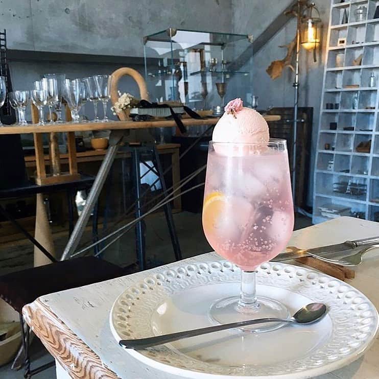 Beaustagrammerのグルメインスタ