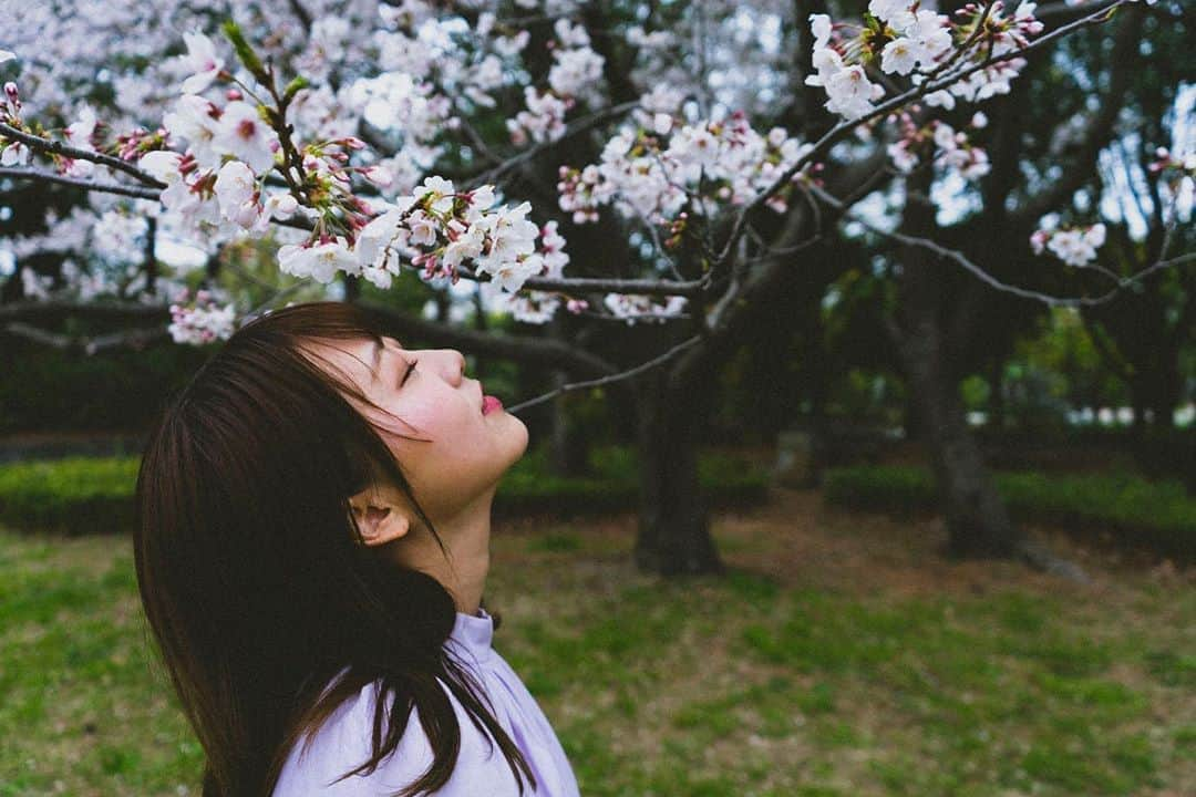 塚本美玲のインスタグラム：「あー家にばっかりいるから外の自然を見たい…﻿ 写真でがまん🥺 🌸✨﻿ ﻿ ﻿ photo by @marcy_camera_9716 ﻿ ﻿ ﻿ ﻿ ﻿ ﻿ ﻿ .﻿ ﻿ ﻿ .﻿ ﻿ ﻿ ﻿ ﻿ #フィルムカメラ#風#一眼#カメラ#camera#portrait#good_portraits_world#tokyo #japan#sakura#instagood #instalike #ootd #coordinate #code #fashion #selca#daily#good #work #데일리 #오오티디 #얼스타그램 #일상 #일본인#ポートレート#被写体#桜#🌸」