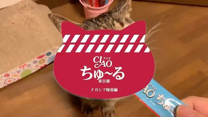 カブトムシゆかりのインスタグラム