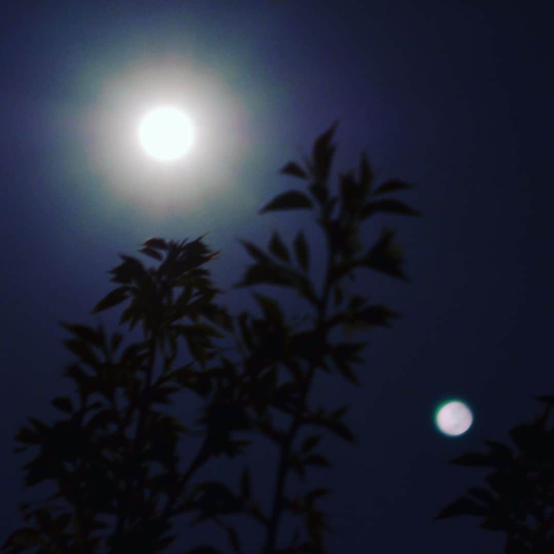 佐野史郎さんのインスタグラム写真 - (佐野史郎Instagram)「スーパームーン 月が二つ… 古いレンズで撮ったので、過去と二重露光しちゃったかな?^_^」4月7日 20時54分 - sanovabitch