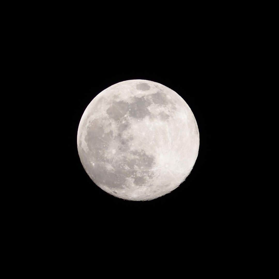 土屋香織さんのインスタグラム写真 - (土屋香織Instagram)「Supermoon tonight🌕✨ みんな空見て♡今夜はスーパームーン♡ すっごいきれいだよー✨ みんなの願い事叶いますように😌 . . マンフロットの雲台が行方不明😂 床置きで撮りました📷 . . . #stayhome #staysafe #スーパームーン #supermoon #moon #月が好き #キョウソラ #instalifestyle #lifestylegram #makeawish #月 #満月 #fullmoon #tokyocameragirls #写真撮ってる人と繋がりたい #カメラ好きな人と繋がりたい #写真好きな人と繋がりたい #picoftheday #カメラ女子 #オリンパス倶楽部 #indies_gram #webstapic #japan_of_insta  #jp_gallery #far_eastphotography #wu_japan #instagramjapan #ig_japan #japan_nighttime_view  #unlimitedasia #jp_gallery」4月7日 21時19分 - kaorintsuchiya