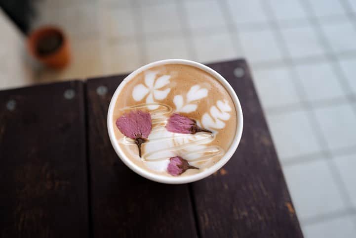 福岡グルメ 福岡ランチ「デビログ」のグルメインスタ