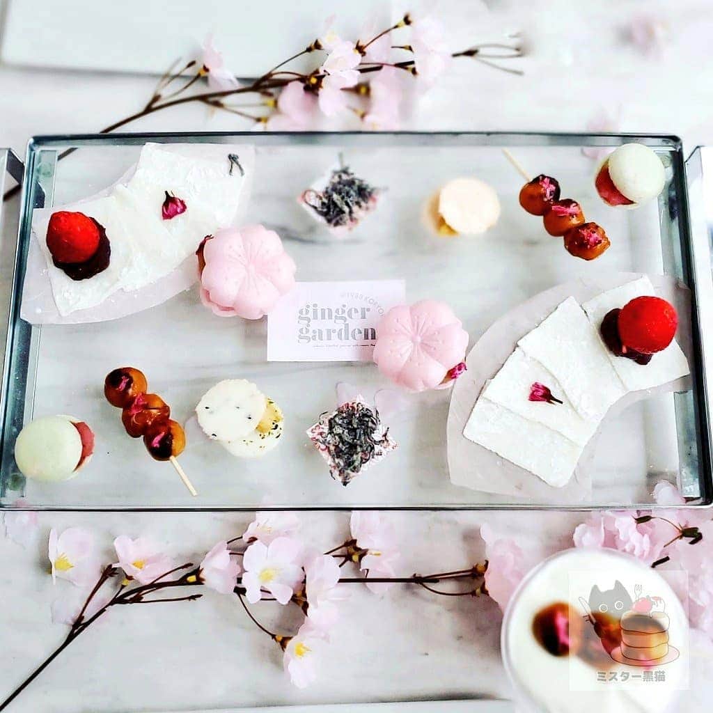 ミスター黒猫（黒猫仙人）のグルメインスタ