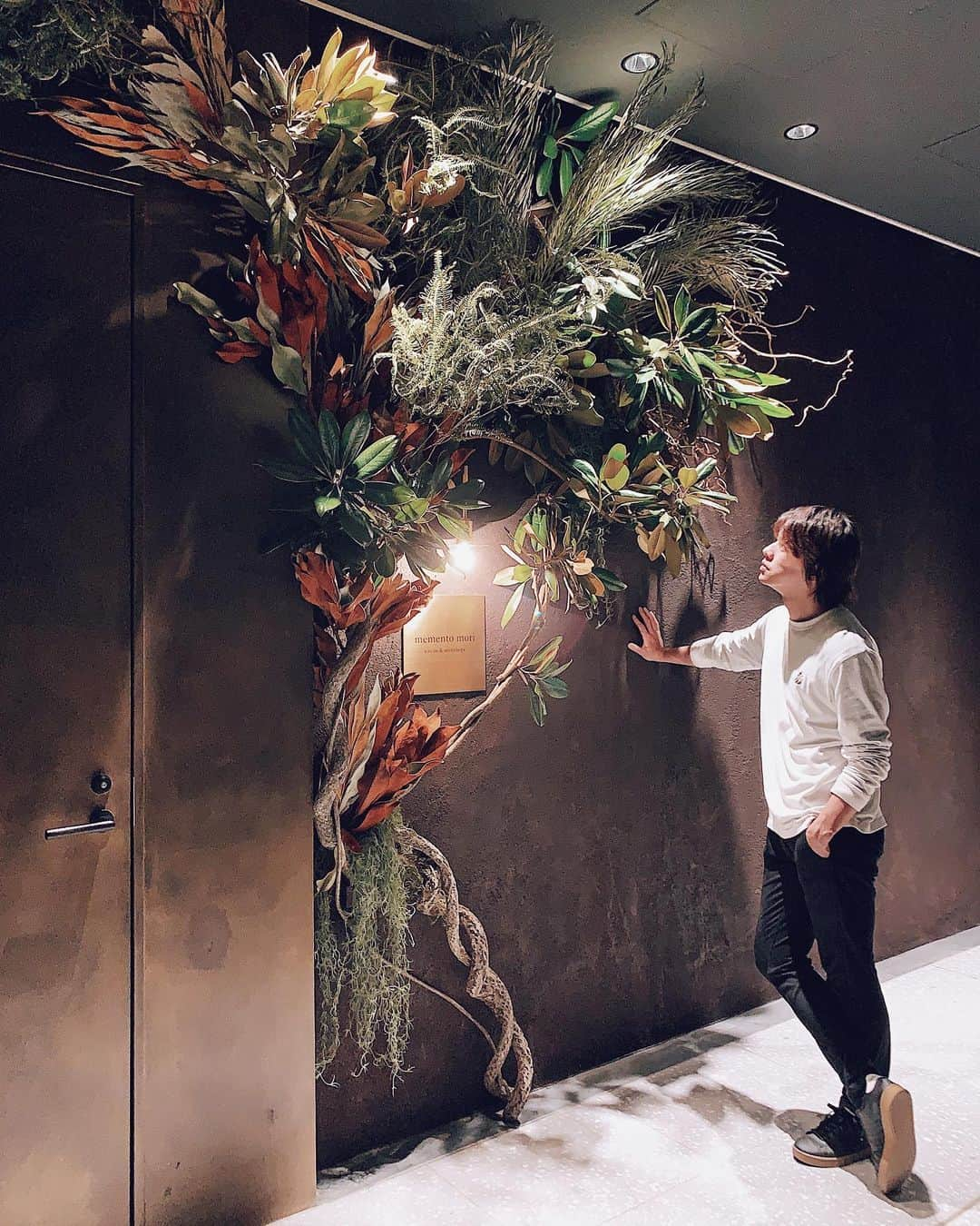 田井中将希さんのインスタグラム写真 - (田井中将希Instagram)「. . 『 memento mori 』  cacao & mixology . Green Decorationさせていただきました。 . 今回は各地の山に行き木の枝や葉などを集め、より生命力にこだわった作品を作らせて頂きました。 . 携われた事に心から感謝です！ . . 新型コロナウイルスの影響のため、Openは延期となりましたが、日時が決まり次第告知させていただきます。 . 世の中が穏やかさを取り戻した時、1人でも多くの方に南雲さんの作り出すカクテルと植物に幸せを感じて頂けたら幸いです。 . . Openがとても待ち遠しいです‼︎ . 3rd floor, 1-17-1 Toranomon, Minato-ku . . #artwork  #虎ノ門ヒルズビジネスタワー　#3階　 #bar #cocktails」4月7日 21時54分 - masaki_tainaka