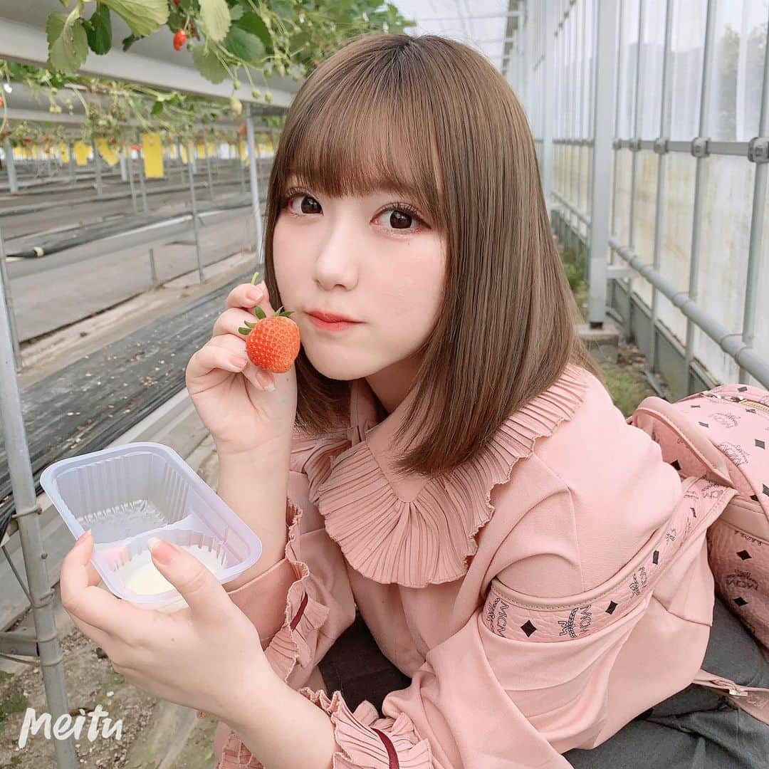 水野愛理さんのインスタグラム写真 - (水野愛理Instagram)「そう言えば昨日配信で初めていちご飴作ったのですが、初挑戦にしてとっても上手く出来ました🍓これからいちご飴上手く作れるマウントをとっていこうと思います笑  #いちご飴  #いちご  #いちご狩り  #高校生  #JK」4月7日 22時07分 - mizunoairi_ske48