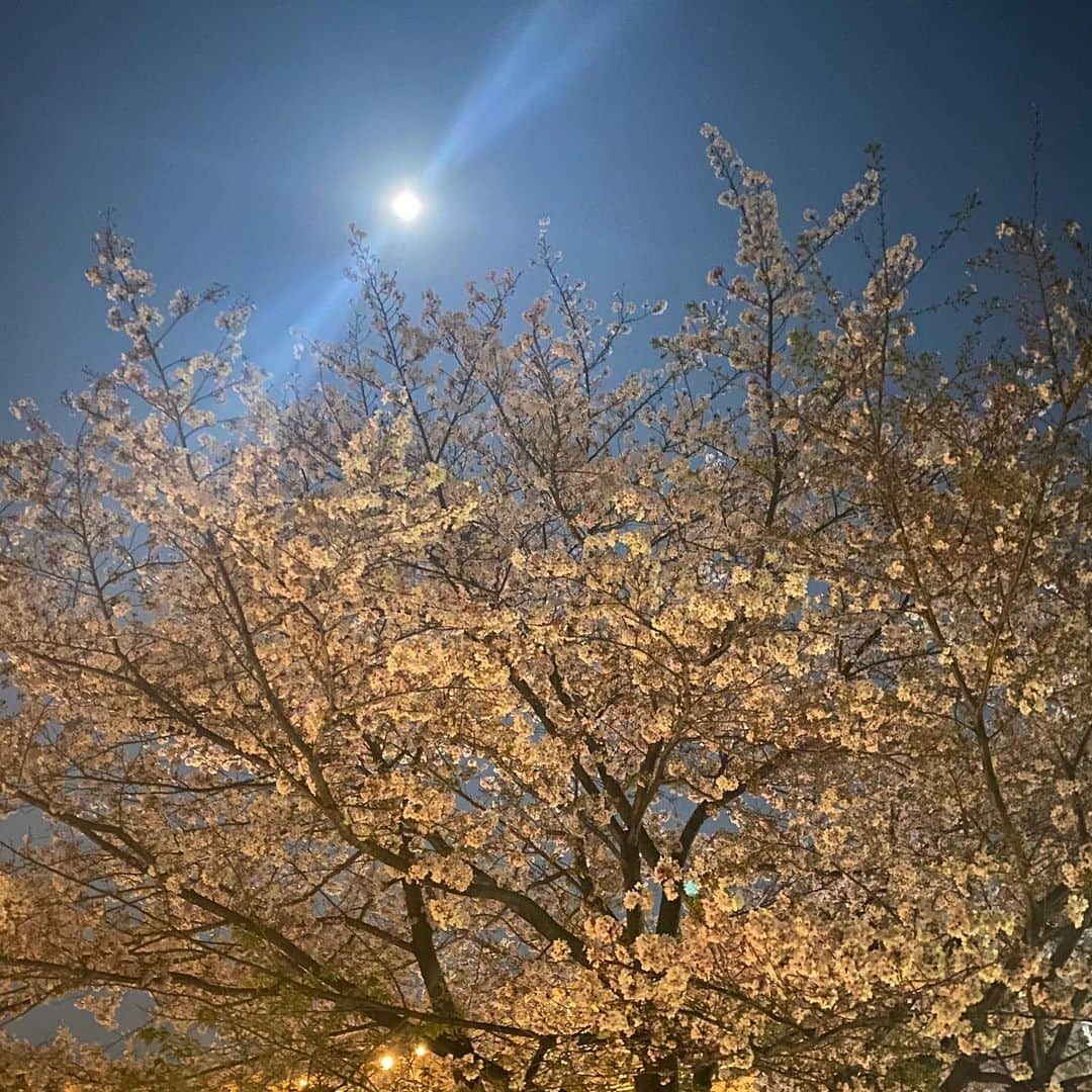 高橋歩のインスタグラム：「. . 今、なんか、 めっちゃ、 月、明るいね！ . スゲェ。。。 . さすが、 今年で一番、 月と地球が近い夜だね！ . なぜか。 胸がキュンってなった。 . . #初めてさやかと見た月には敵わないけどさ .」