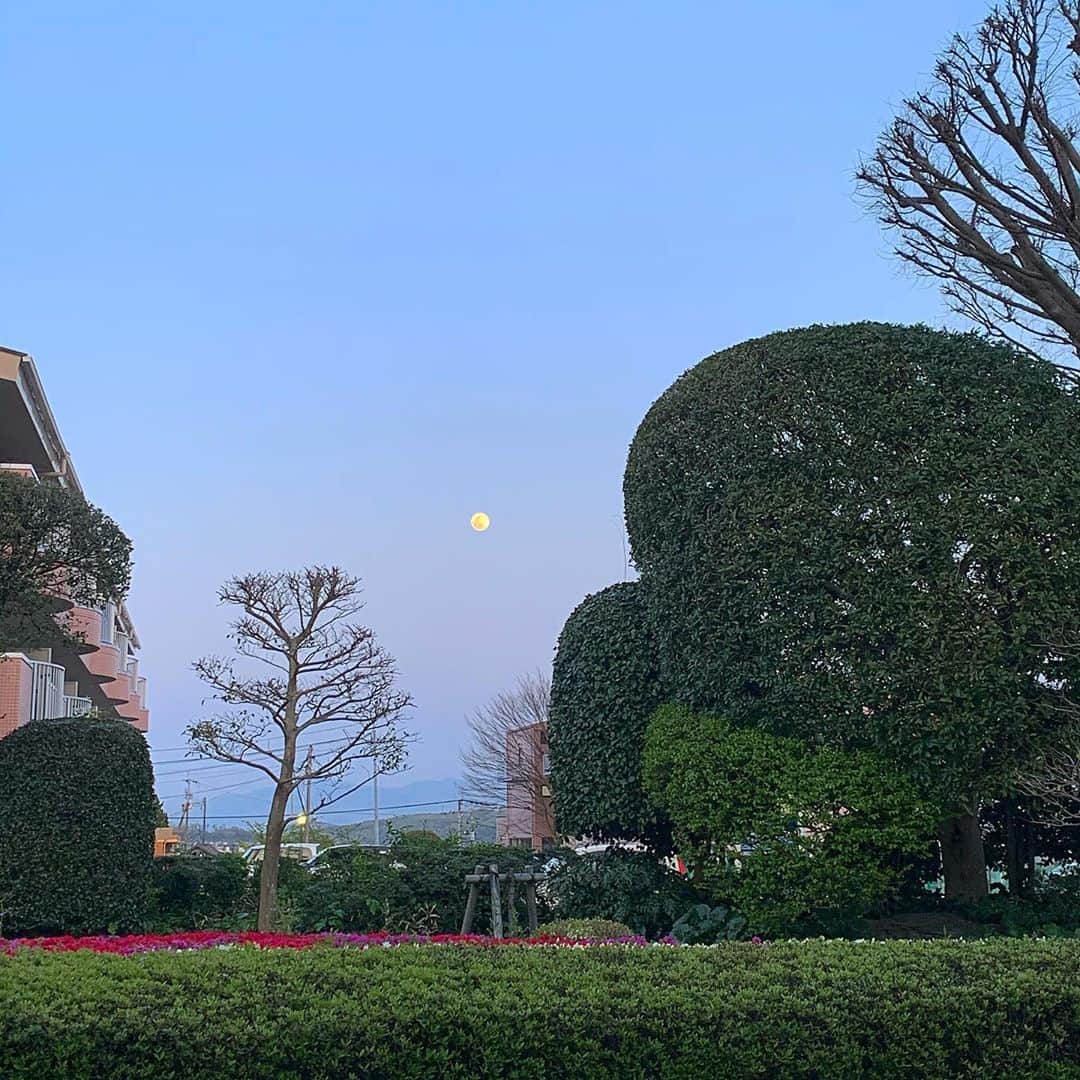 林田雪菜さんのインスタグラム写真 - (林田雪菜Instagram)「今夜はスーパームーン🌕 #お天気#スーパームーン#中継終わりに1枚#明るい時間の月#これはこれで美しい#この時間も月が明るくてまんまるで綺麗#家の中から月を眺めてみるのも良いですね#🌕」4月7日 22時52分 - hayashidayukina