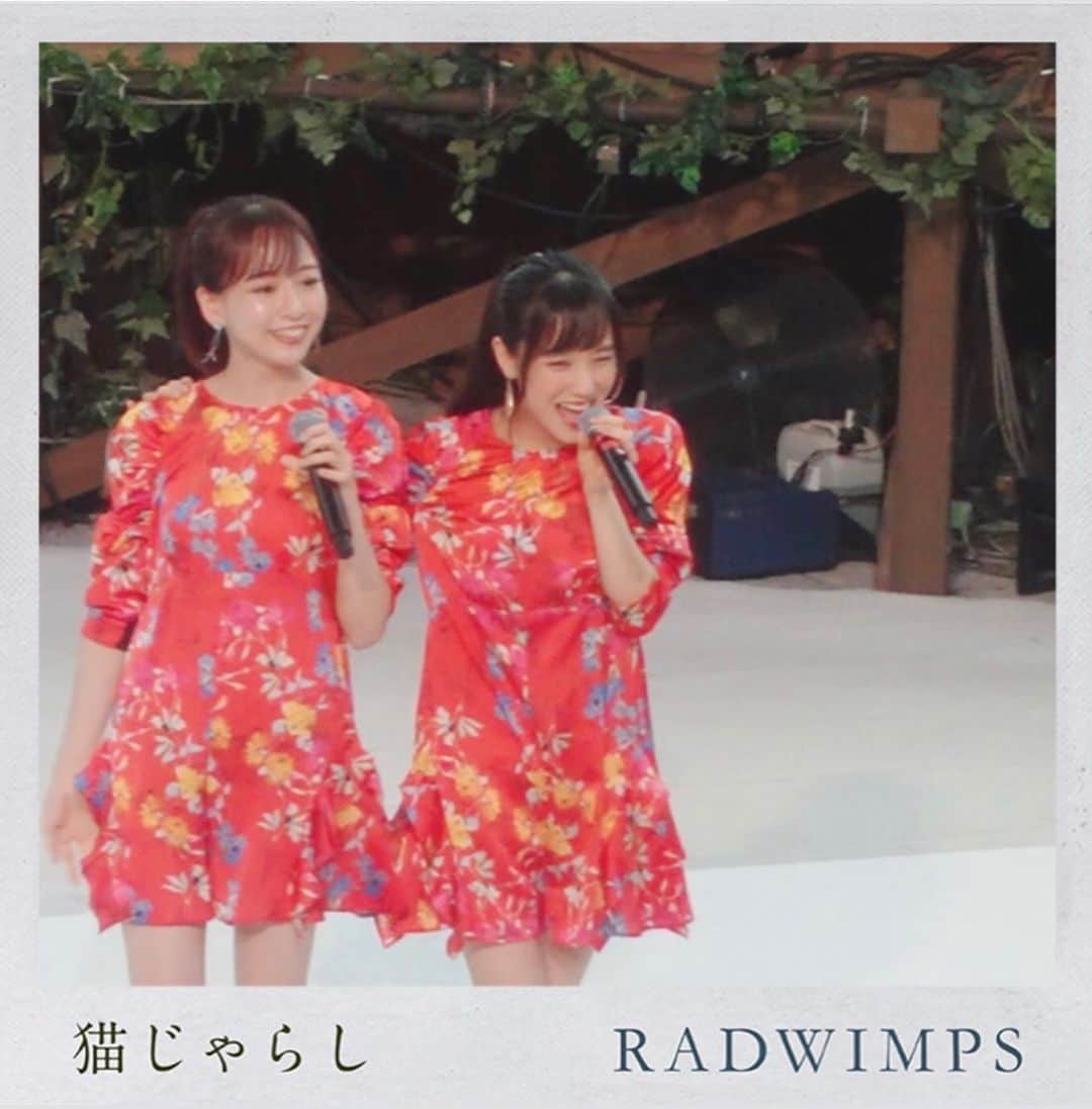 田﨑あさひさんのインスタグラム写真 - (田﨑あさひInstagram)「・ またみなさんの前で歌いたい🎤 ・ ・  #RADWIMPS #RADnekojarashi  #猫じゃらし」4月7日 23時06分 - asahitasaki